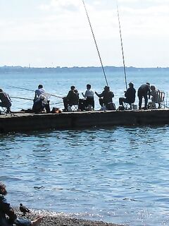 Сухум, берег и волнорезы: хлеб на тройнике для кефали, рапан на барабульку