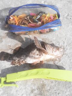 Дневной проход по кромке: короткий контроль, рыба на месте и настроение тоже