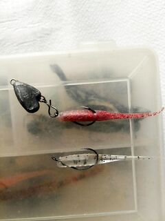 Смена оснасток и темпа: дюймовый слаг 2 г рулит по карасю, воблером добрал скорпену