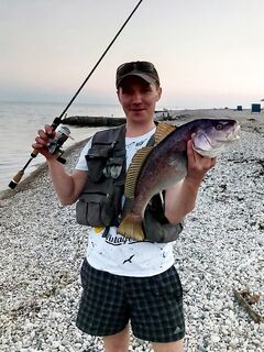 Абхазия, финальный вечер: несколько скорпен, сходы карася и друг с горбылём 1.630 кг