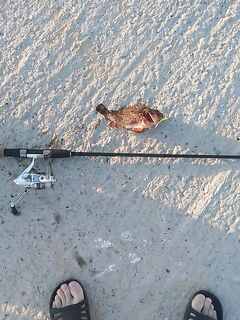 Анапа, первый спиннинг-заезд по морю: скорпены на 6 г и мощная поклёвка ласкиря