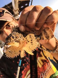 Крым, первый контакт: скорпена с пирса, прозрачность воды и тонкости свинца против вольфрама