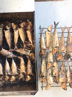 Чёрное море: ещё фотки уловов и мест