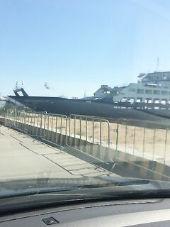 Крым: рыбалкой доволен, за зиму — ответы, до новых встреч