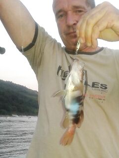 Абхазия, Багрипш: сумеречные «павлины», поиск сибаса у «Холодной речки»