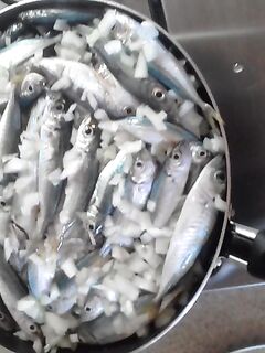 Чёрное море: «сковородочные» готовы, остальное на GoPro