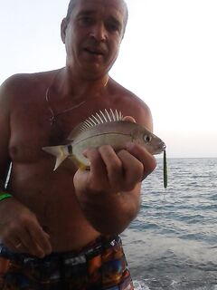 Абхазия, Багрипш: карась хозяйничает, силикон — только когда он молчит