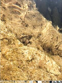 Черное море: опознание улова для новичка