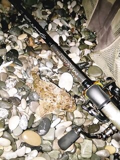 Абхазия, Лдзаа: ночная ставрида со счёта двенадцать и коптильня к утру