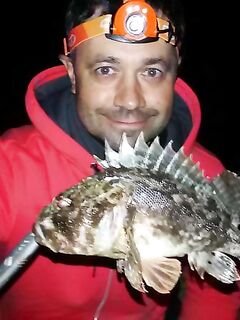 Судак, городской берег: ерши на лёгкий джиг, короткие забросы между купальщиками