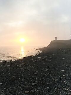 Большой Утриш: зелёнуха открыла сезон, смарида в темпе, маракуйя «молчит» в холод