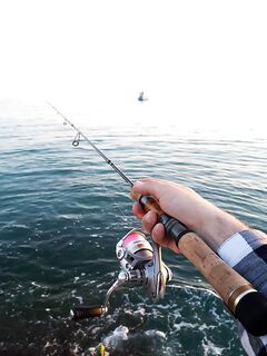 Сочи на рассветах и закатах: десятки поклёвок, весь улов обратно и просьба к местным