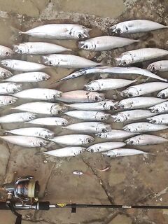 Если не упираться — рыба найдётся: короткая заметка о темпе и смене приманок