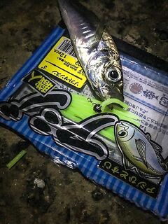 Первый день у моря: прозрачная галька, ерш стартует, ласкирь хитрит и ночь за ставридой