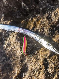 «Заряженный» пилькер и пеламида у берега: тонкий шнур, толстый флюр и эксперименты