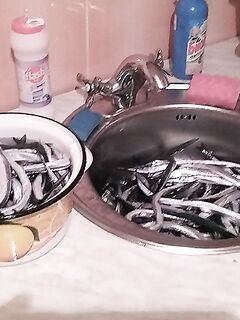 ЮБК, сезон уже вовсю: короткая отметка о старте прибрежных выходов