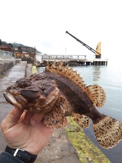 Добавил ещё немного кадров: серия продолжается