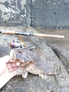 Короткая отметка: серия без текста, рыбалка была — детали позже