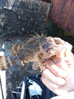 Короткая отметка: сессия была, деталей не записал — добавлю позже