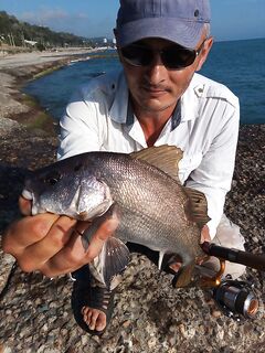 Опоздал на автобус — сменил пляж и взял первого горбылёк на спиннинг