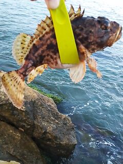 Крайняя вылазка под смену погоды: рыба бастовала, окно так и не поймал