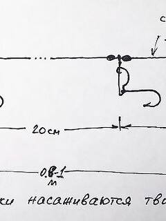 Две «приманки-пилота» перед воблером: тёмные в солёной, светлые в пресной