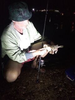 Вечерняя бомбарда обошла джиг: малыш отпущен подрастать, точку не палю