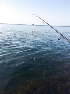 Эксперименты с булером на подвеске: Marukyu Power Isome и колебалки в одной связке