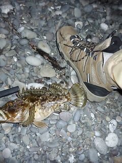 От Феодосии до Кореиза: три пути, но важнее повороты, уклоны и комфорт за рулём