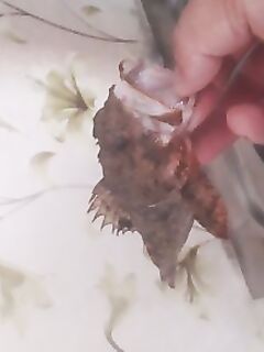 Фотопауза у кромки моря: фиксирую рельеф и свалы для следующих выходов ночью