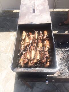 Солим и коптим улов с племяшем: домашние заготовки доехали без потерь и с аппетитом