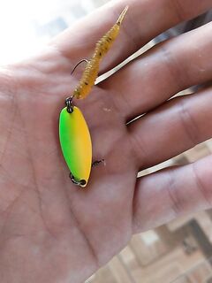 Судак: вечерняя скорпена на 2–3.5 г и утренняя ставридка на 3.5 г с резиной с пирса