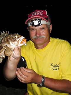 Ночные скорпены и зелёнуха в Турции и на Чёрном море: разные уколы и разные реакции