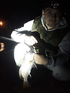 У товарища на отводном повеселее: ершей не фотографировали