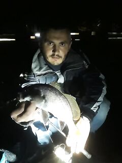 Слабый клёв вечером, но на первых забросах повезло на отводной