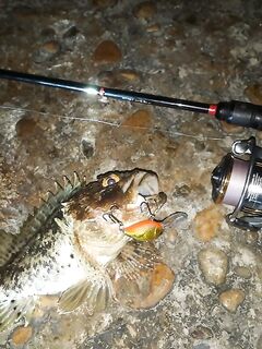 Горбыля не поймали, ерш почти молчал, но ключ подобрал на проводке