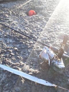 Сарган в воскресенье: до 9:00 клевал, потом как отрезало