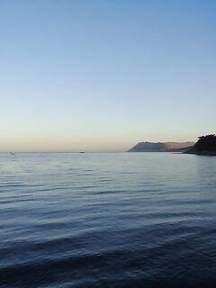 Большой Утриш в ноябре: бомбарда с опарышем и «нереисом», сарган единичный