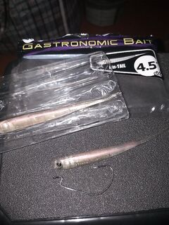 Крупные слаги и офсет 3/0: не мельчу и целю активного хищника