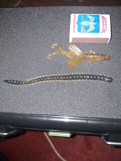 Нашёл в ящике: полезная мелочёвка для морской рыбалки