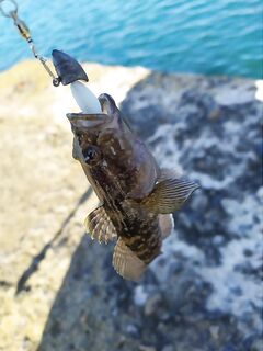 Утренний выезд: первые поклёвки, говорят, окуньки тоже появились