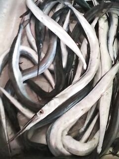 Чёрное море: короткая пометка без деталей по выезду