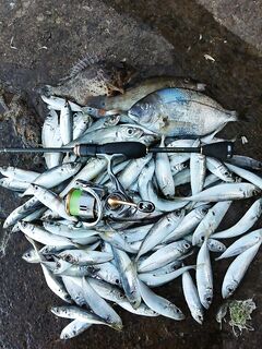 Ловля на Чёрном море.