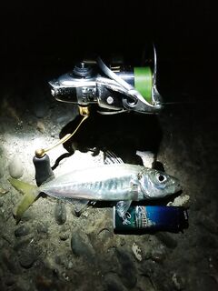 Жара и море: короткие сессии по утрам, чтобы не плавиться