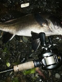 Датчики в воде каждые 20 минут: сверял с эхолотом — сходится