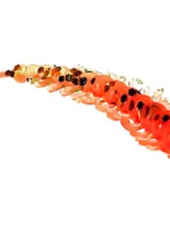 Сочи и Турция: пилькеры работали, на бомбарду думаю ставить мягкий силикон