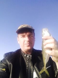 Стрелецкая бухта в 03:00: самодур с «лимонным» червём спас ноль