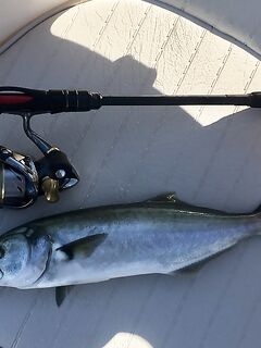 Первый комплект готов: проверю на вечернем выходе по ставриде