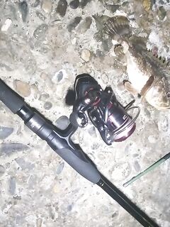 Бомбарда и тиролька после паузы: 15 хвостов и апгрейд катушки