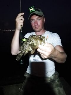 Поклёвки и доразловы: серия подходов закрыла паузы между выходами